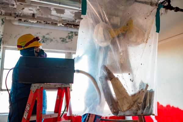 Asbestos and lead abatement